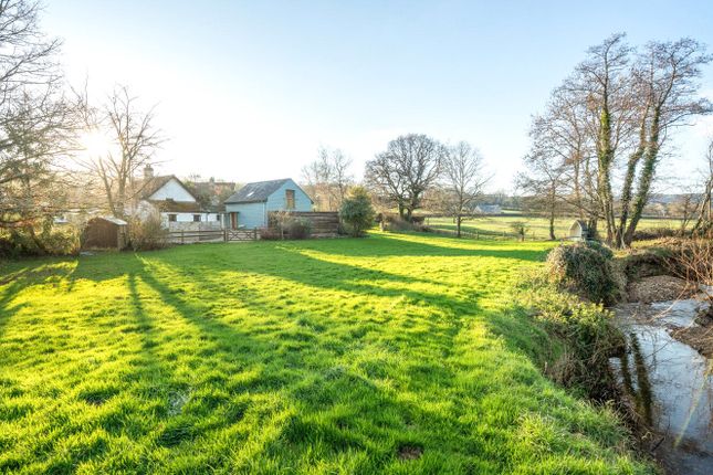 Cottage for sale in Farway, Colyton