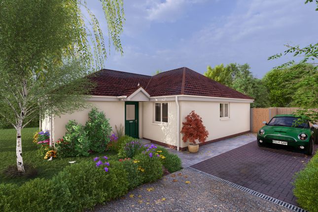 Thumbnail Detached bungalow for sale in Parsonage Lane, Tendring Green