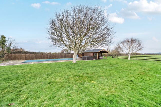 BARTON MANOR FARM, Barton Road, Berrow, Burnham-on-Sea photo 4
