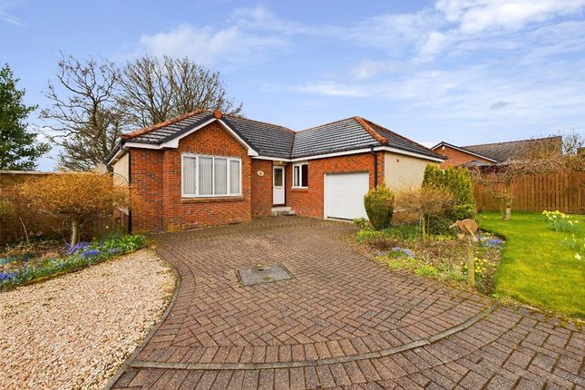 Thumbnail Detached bungalow to rent in Sykehead Drive, Biggar