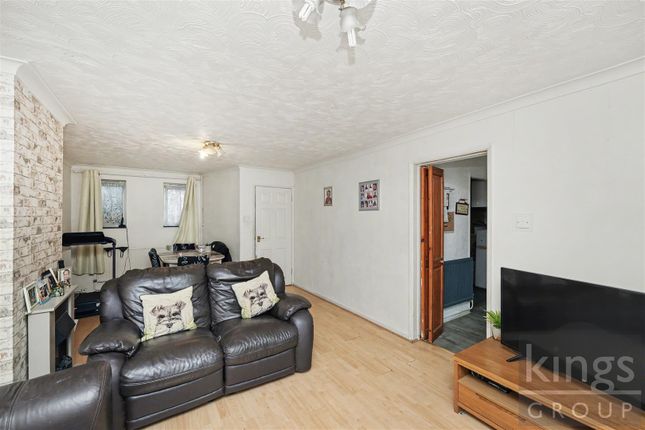 98, The Dashes, Harlow photo 3