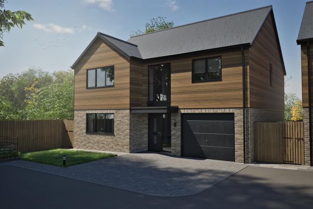 Plot 1