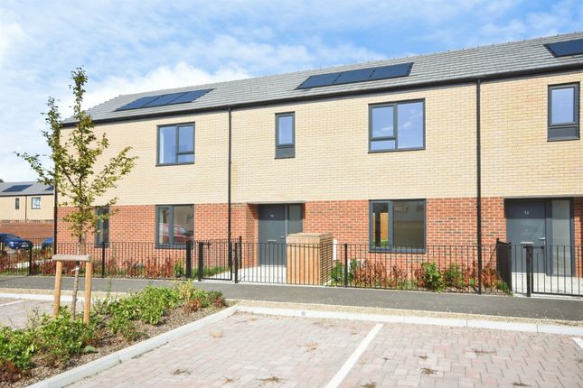 Plot 11 The Buttercup, 11, Clarendon Mews, Basildon photo 3