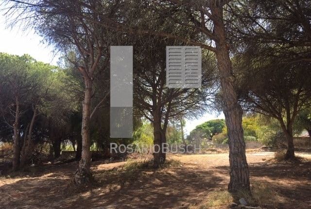 Land for sale in Loulé, Portugal