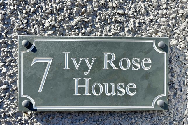 7, Plas Road, Swansea photo 2