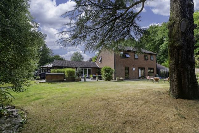 65a, Swithland Lane, Leicestershire photo 3
