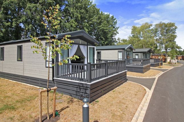Thumbnail Lodge for sale in New Road, Landford, Salisbury
