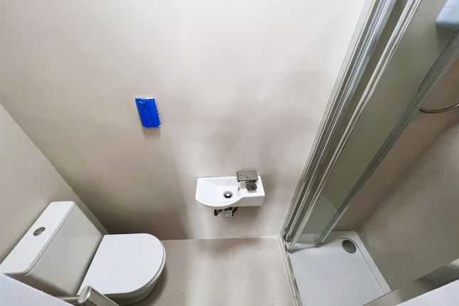 P7.Jpg