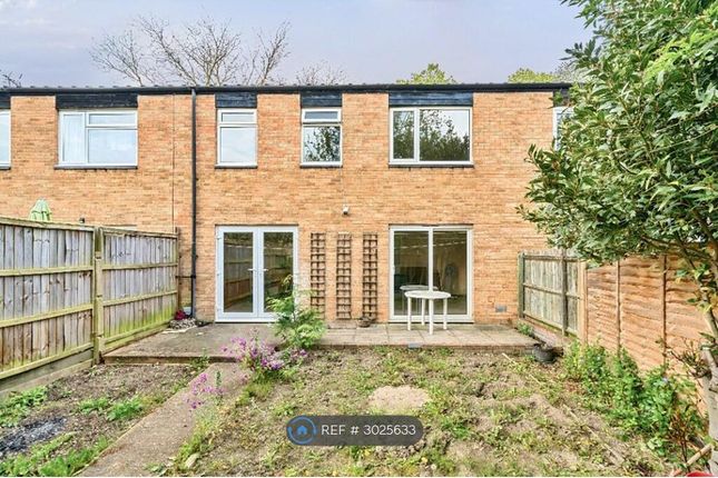 Lisle Walk, Cherry Hinton, Cambridge photo 3