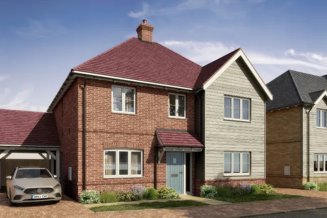 Property 1 of 12. Cgi