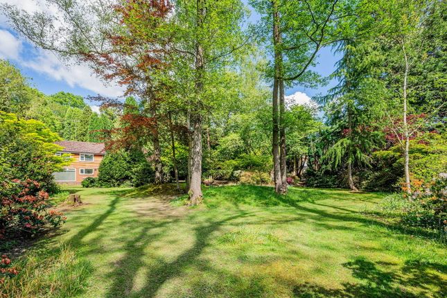 Wilderbrook, Eden Vale, East Grinstead photo 4