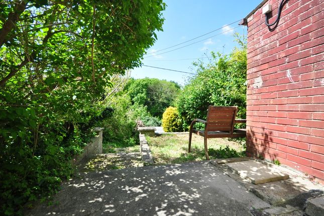 Thumbnail Cottage to rent in The Shute, Newchurch, Sandown