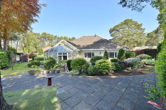 146, Golf Links Road, Ferndown photo 2