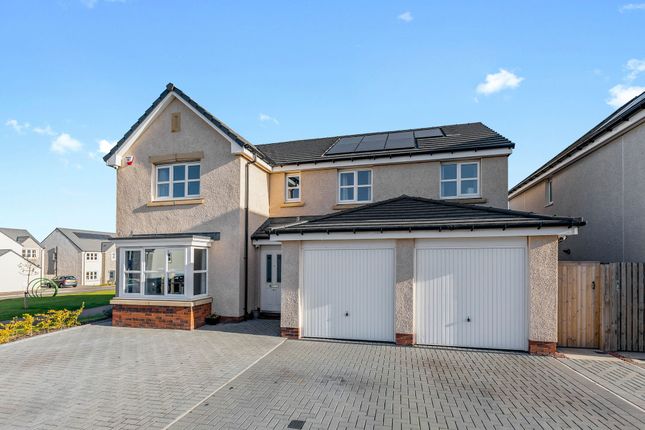 Image of 40 Damselfly Road, Edinburgh, EH17 8XG