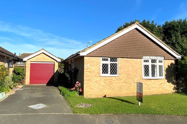 Thumbnail Detached bungalow for sale in Spring Lane, Little Common, Bexhill-On-Sea