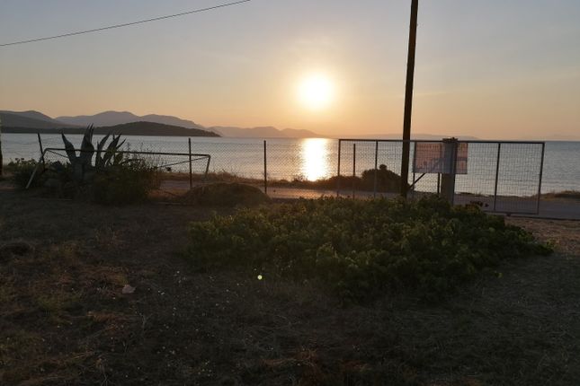 Land for sale in Drosia 341 00, Greece