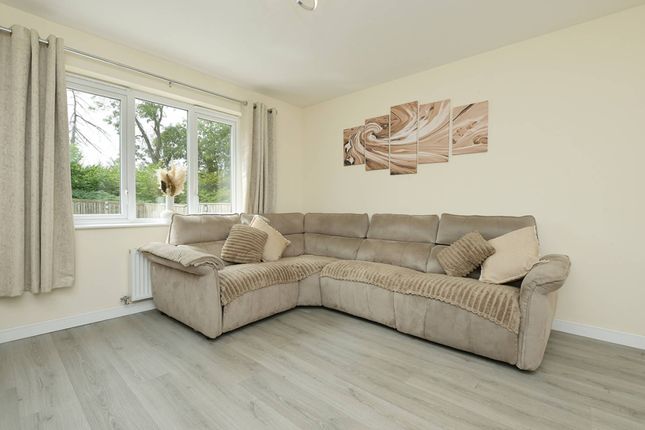 Stagg Park, Dalkeith photo 3