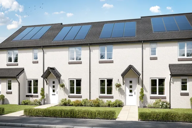 Persimmon Homes - Palace View