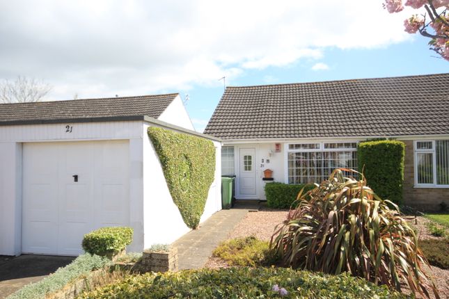 Semi-detached bungalow for sale in Almond Tree Close, Bridgwater