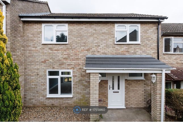 Thumbnail Terraced house to rent in Tudor Close, Thetford