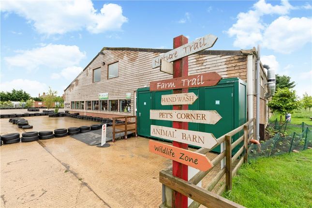 Commercial Property For Sale In Green Dragon Rare Breeds Farm