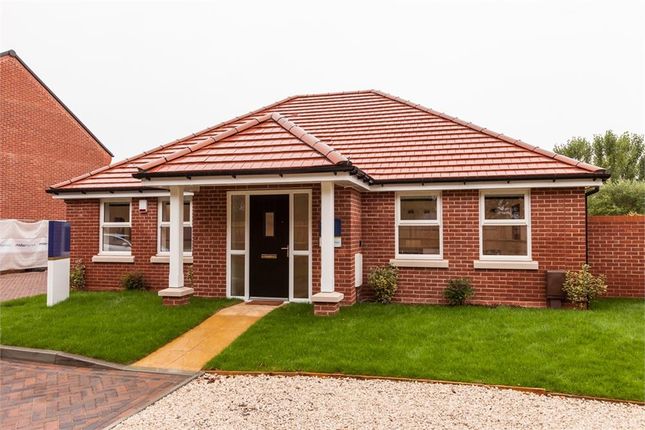 Thumbnail Bungalow for sale in "The Wittering" at Church Acre, Oakley, Basingstoke