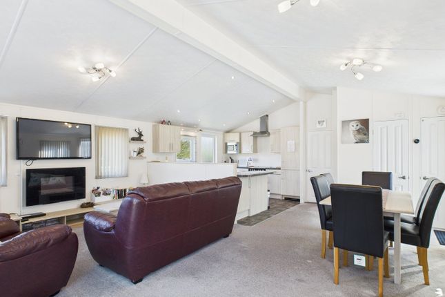 Woodlands View Caravan Park, Squirrel Lodge, Chepstow Road, Coleford photo 3
