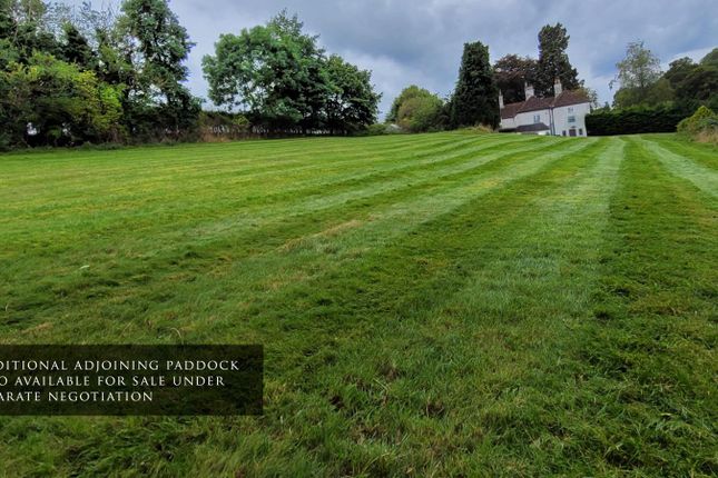 Additional Adjoining Paddock