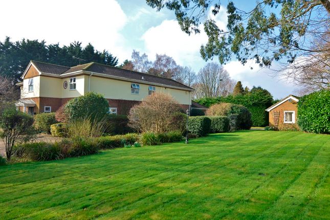 Detached house for sale in Burnt House Lane, Kirton, Ipswich