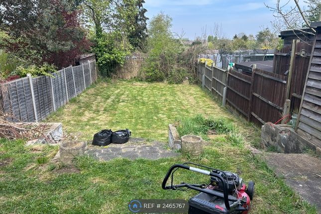 Large Garden
