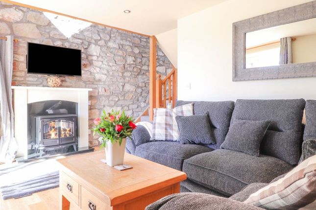 Gwen Lounge 2