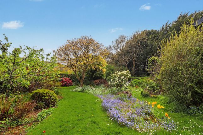Glebe Cottage,, Chulmleigh, Devon photo 4