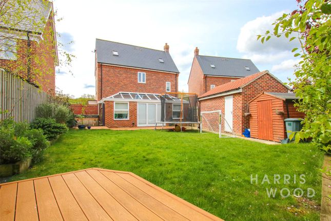 Detached house to rent in Redora Lane, Colchester, Essex