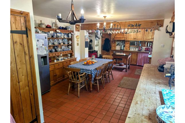 Blackhills Cottage and Boarding Cattery, Blackhills Cottage and Boarding Cattery, Swindon photo 4
