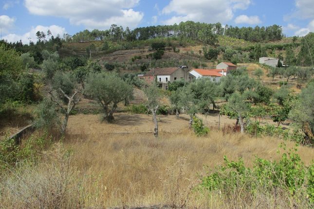 Land for sale in Proença-A-Nova, Proença-A-Nova, Castelo Branco, Central Portugal