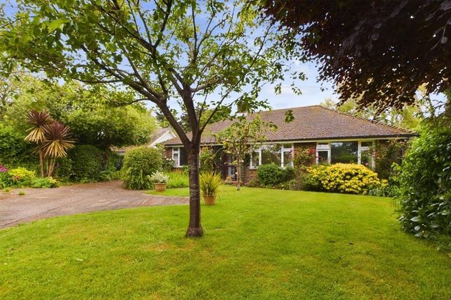 Thumbnail Detached bungalow for sale in Alandale Road, Birdham, Chichester