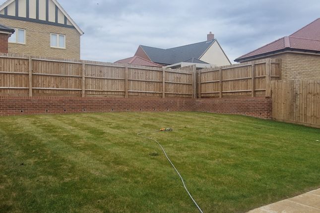 Plot 38 Rayne Road, Braintree, Essex photo 4