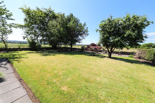 15, Lady Nina Cottages, Coaltown photo 4