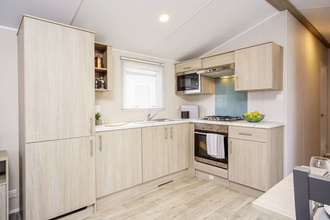 Brand New Atlas Festival,, Country Holiday Parks Ltd, Preston photo 2
