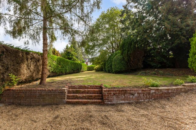 Lindford Road, Bordon photo 3