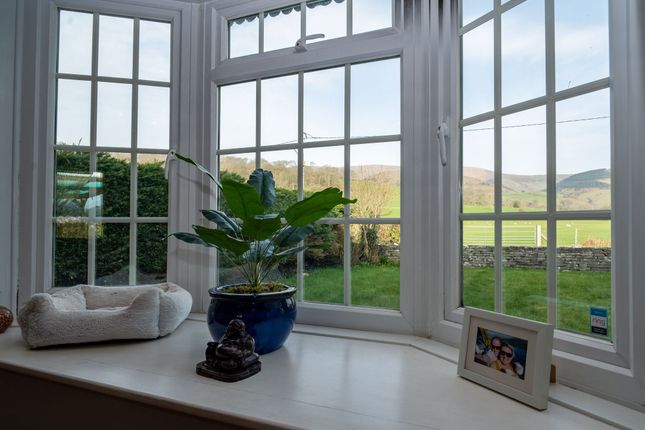 Maesdyfi, Aberdovey, Machynlleth photo 4