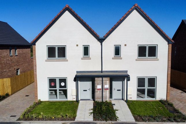 Dji_Fly_20251006_113146_43_1759749878417_Photo_Opt