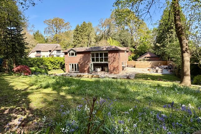 Avon Glen, Hurn Lane, Ringwood photo 2