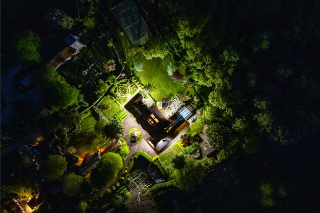Night Shot
