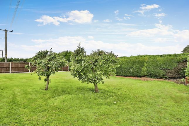 Detached bungalow for sale in Station Road, Holme Hale, Thetford