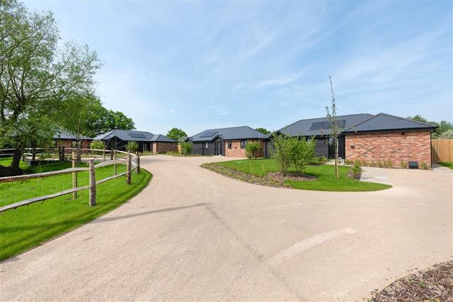 Detached bungalow for sale in Stile Bridge Lane, Linton, Maidstone, Kent