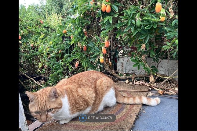 St Vincents Road, Westcliff-On-Sea photo 3