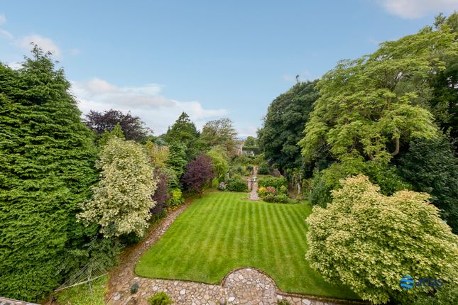 Back Garden