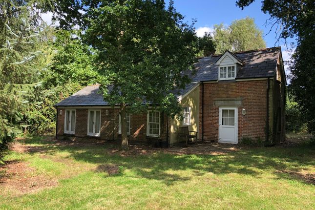 Homes for Sale in Winsor Road, Winsor, Southampton SO40