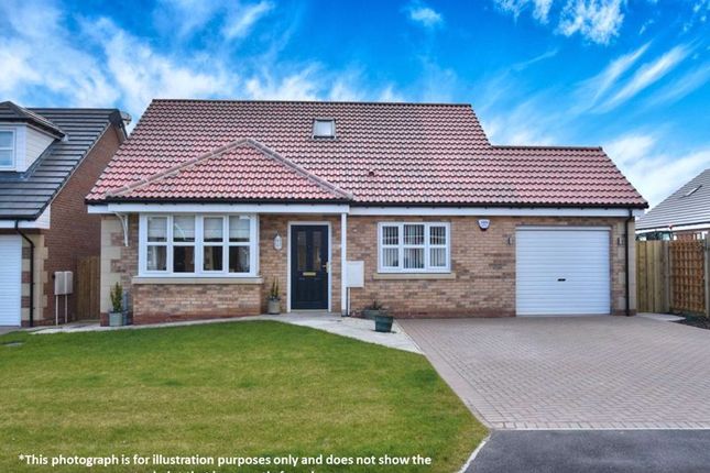 Thumbnail Bungalow for sale in Plot 63, The Beadnell, Dunmoor Road, Belford